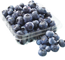 Blueberries