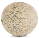 Cantaloupe