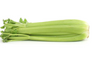 Celery Stalk